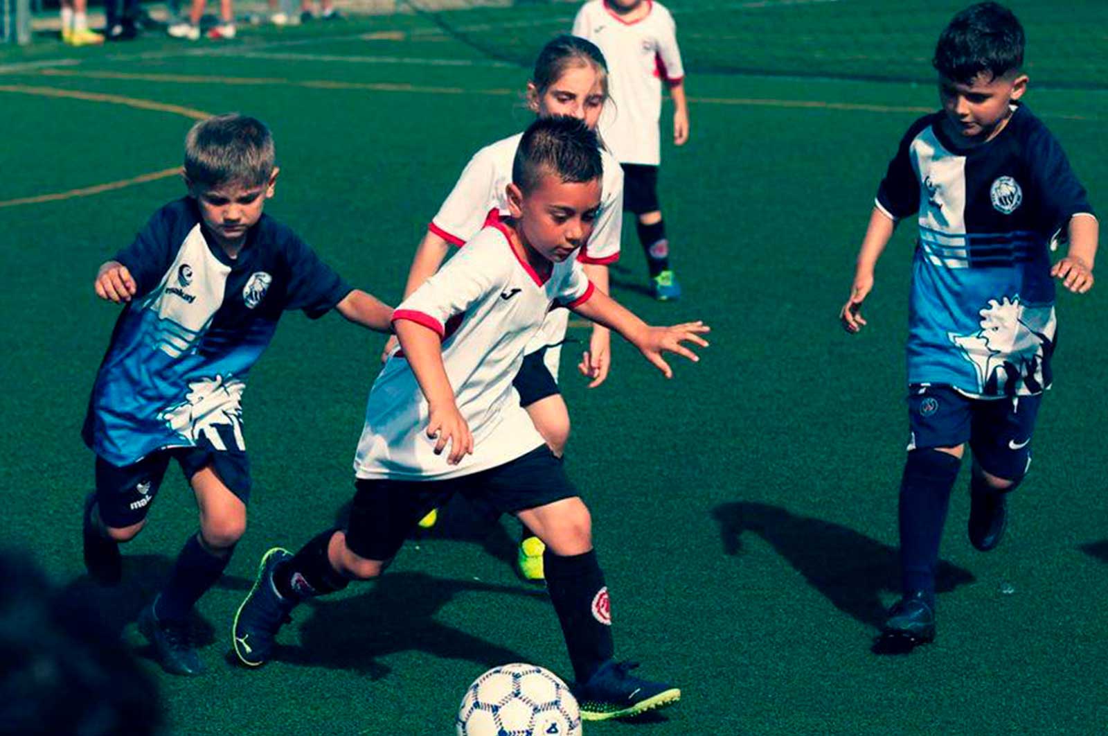 Senigallia Cup 2